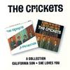 CD CRICKETS - Коллекция / California Sun - She BGOCD251 BGO Records 1995 UK Рок Б/у