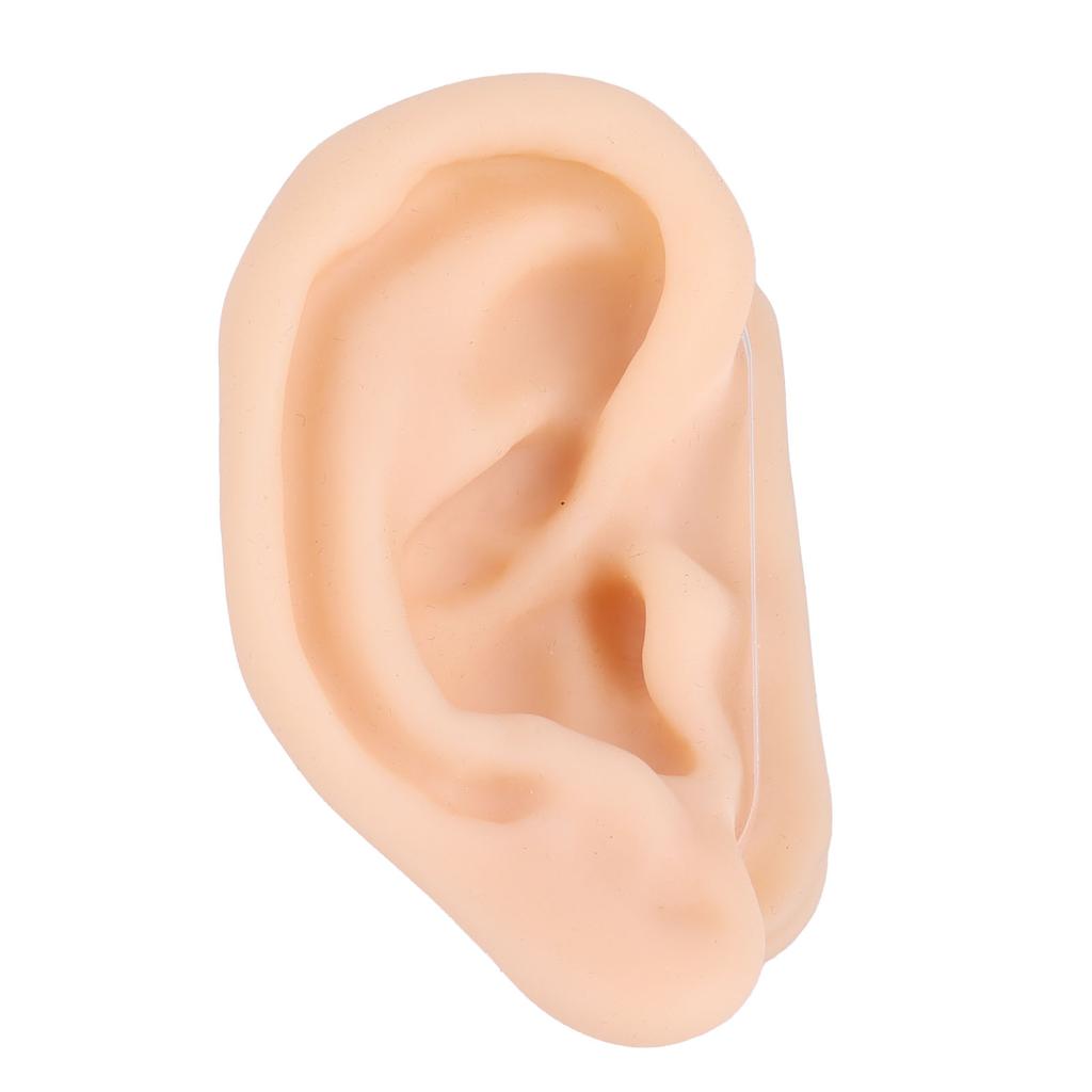 Мягкая силиконовая модель уха Симуляция уха Модель для практики акупунктуры уха для больничной экспозиции
