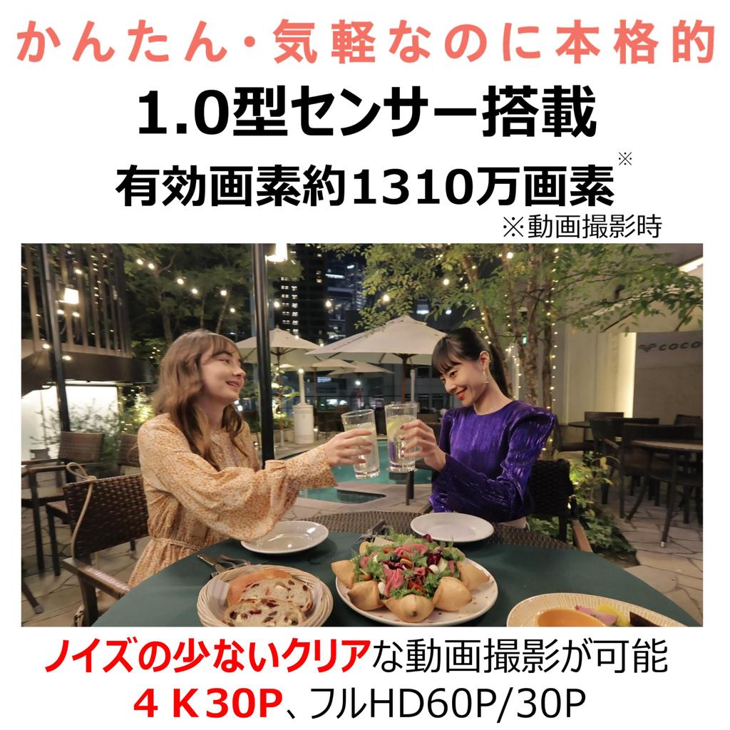 Canon Видеокамера PowerShot V10 Silver PSV10SL