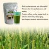 250g Organic Barley Grass Powder Gluten Free Non-GMO Superfood Vegan RAW