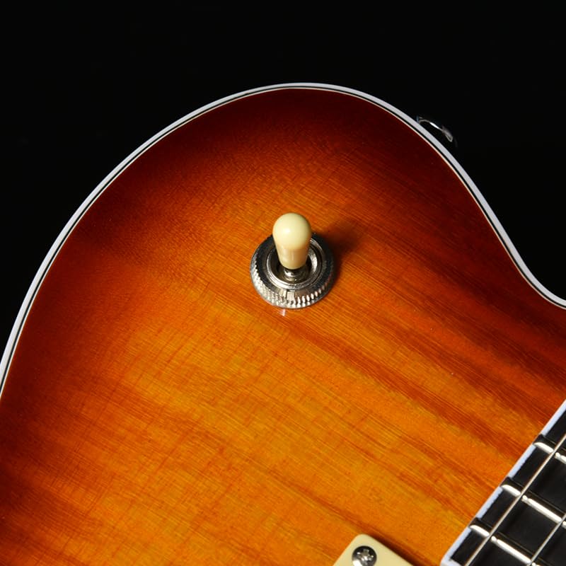 BACCHUS Global Series HB Электрогитара BARON-FM