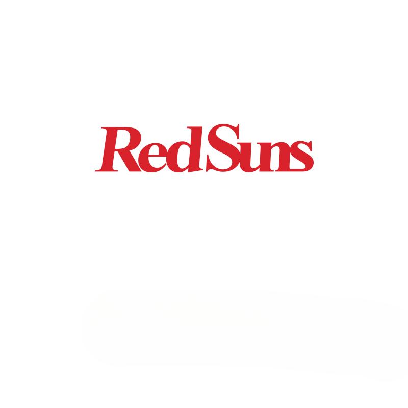 Наклейки на авто Redsuns Водоотталкивающие DIY Наклейки из винила на кузов, лобовое стекло, окно, багажник Модный орнамент Автоаксессуары