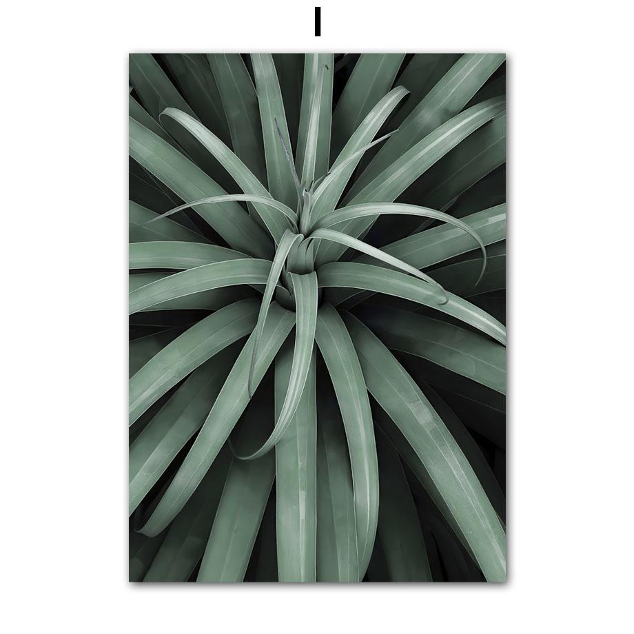 Тропические растения, пальмовые листья, белый цветок, настенная живопись на холсте, плакаты на скандинавскую тему и принты, настенные панно для декора гостиной