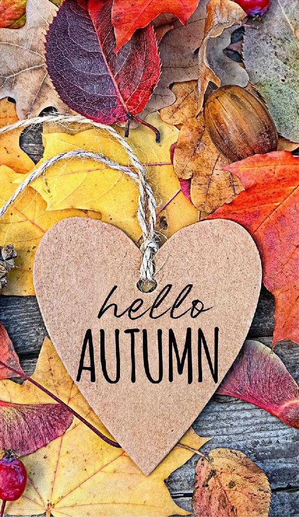 GLASS BOARD PANEL TABLETOP 30x52 AUTUMN