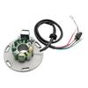 6-Pole Ignition Stator For TM Racing EN125 EN250 MX125 MX250 2001-2021 TM85 2002