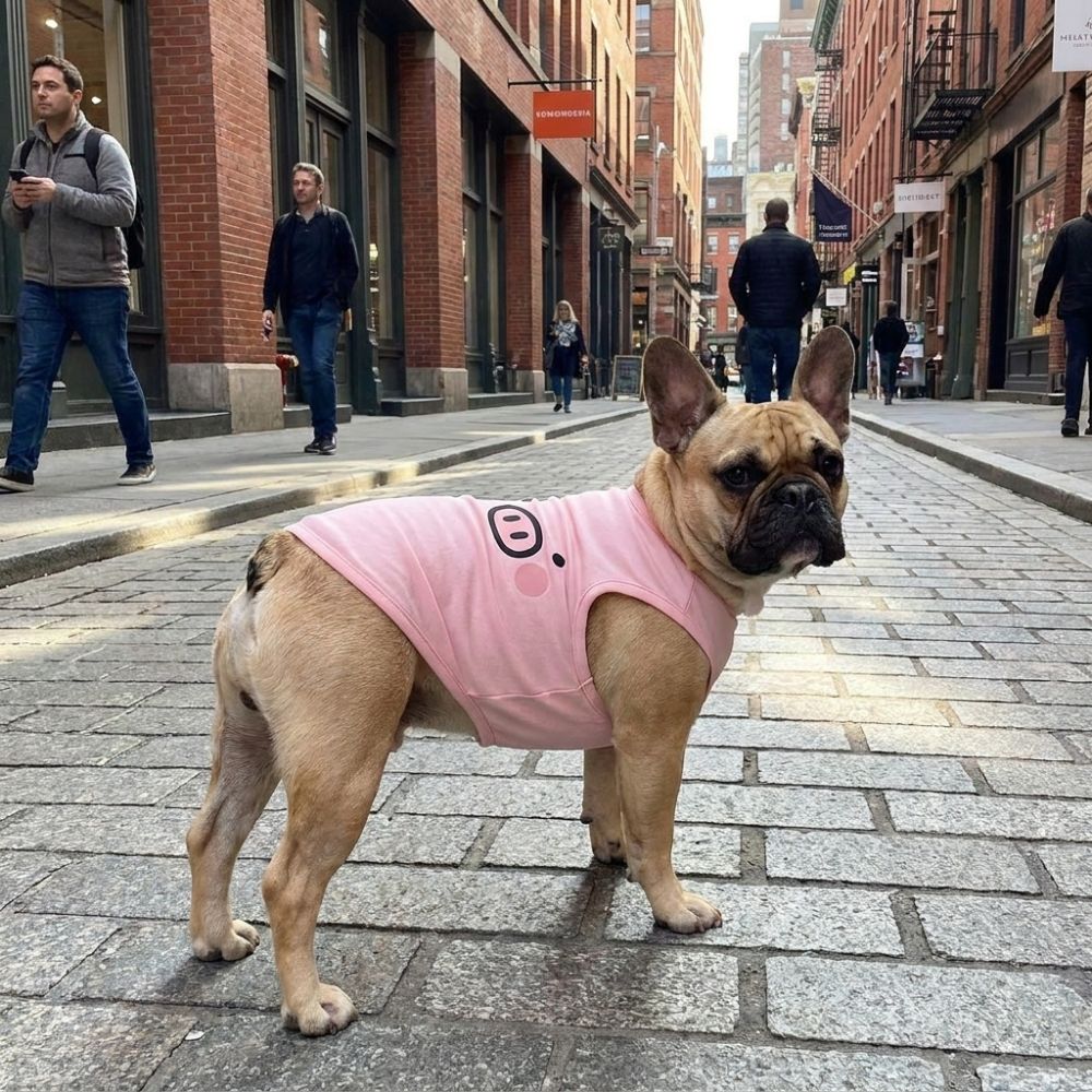 Lightweight Dog Tank Top Cartoon Print Pet Cooling Vest Cute Style Sleeveless T-Shirt Travel