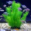 Artificial Aquarium Decor Plants Underwater Water Grass Aquatic Plastic Plants For Fish Tank Aquarium Decorations