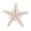 Starfish Crafts Decor Starfish Diy Shell Sea Fish Party Beige Starfish Decor