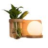 Japanese Solid Wood Nordic Wall Lamp for Bedroom, Living Room, Study, and Balcony
