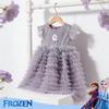 Disney Frozen Elsa Mesh Princess Dress