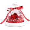 Valentine's Day Gift Eternal Flower Love Glass Cover Rose Flower Gift Dried Flower Protection Flower Bouquet