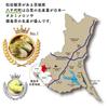 Matsuda Seicha Benifouki Japanese Green Tea Bags, Methylated Catechin Rich for Spring Season Support, 2.5g x 15 Bags