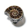 Ammonite Fossil Gemstone Handmade 925 Sterling Silver Jewelry Ring Size 6 H1e82