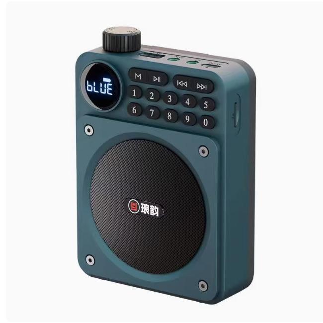 Мини Цифровое FM Радио HD Дисплей 76-108 МГц Радио Беспроводной Bluetooth 5.3 Динамик Портативный Усилитель Голоса с Слотом для TF-карты USB