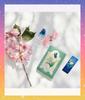 Flower Message Oracle Cards, Blossom, with Japanese Instructions, Oracle Tarot Card Fortune Telling [Authentic]
