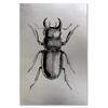 Feeby Canvas print, Silver-coloured drawing of an insect