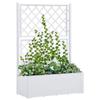 Raised Garden Bed with Trellis and Automatic Watering System - VIDAXL - White - 100x43x142cm - 90L
