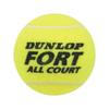 DUNLOP Теннисные мячи Fort All Court (3 шт.)