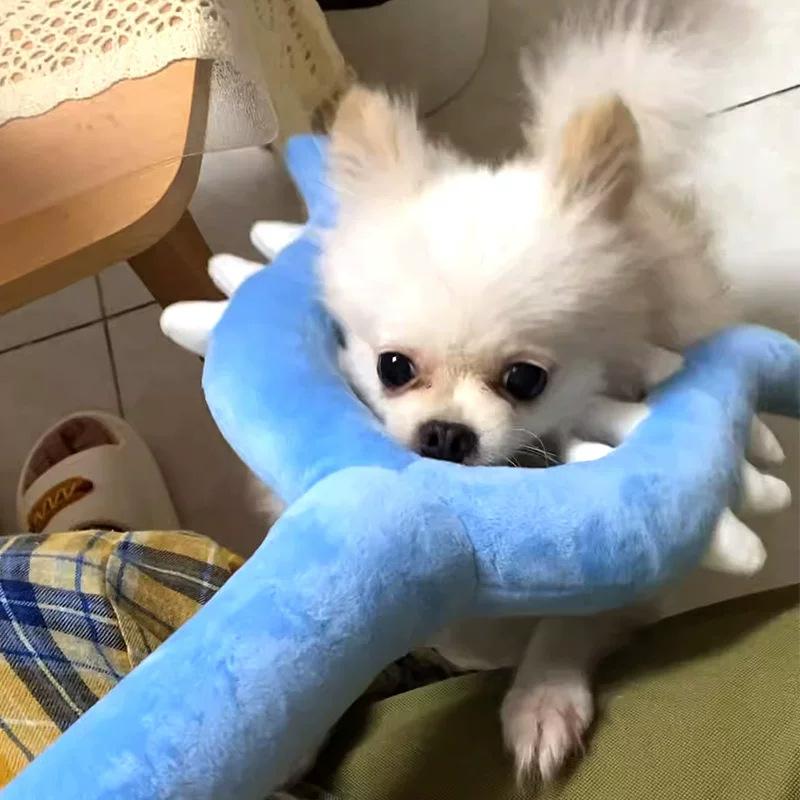 Плюшевая Охотничья Палка Кавайный Кролик Хативарэ Кошка Игрушка Ins Корейский Мультфильм Аниме Друг Подарок на День Рождения