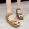 Fashion Womens Buckle Strap Wedges Sandals Sexy Cross Strap Chunky Platform Female Zapatos Outdoor Thick Bottom Sandalias