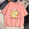 Summer Women's Short-sleeved T-shirt Cotton Loose Korean Ins Trend Printed Tops
