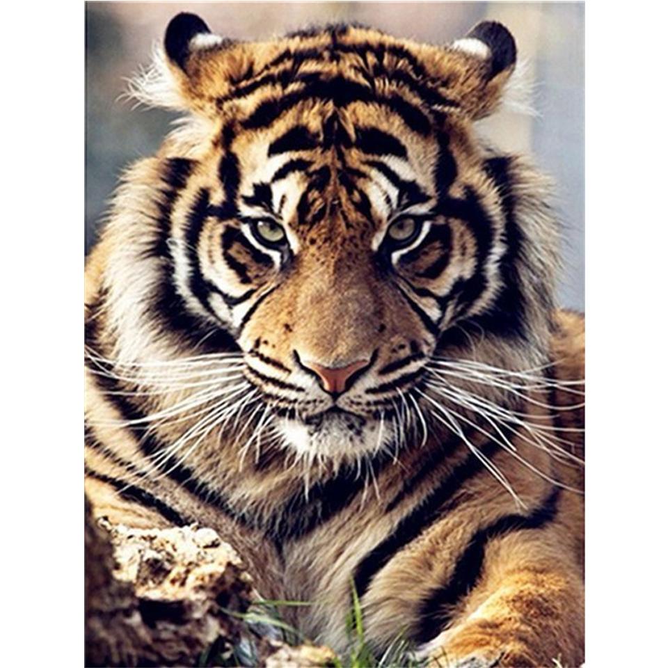Diamond Painting "Tiger" Animal 5D DIY Full Round Diamond Embroidery Kit Rhinestone Cross Stitch Decoration Mosaic Picture Gift