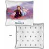 Cushion - Frozen - Frozen 2 - 35 X 35 Cm - White - Indoor