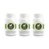 Pack De 3 X Complément Alimentaire Gélules De Thé Vert Organique Camellia Sinensis 500 Mg – 100 Gélules