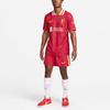Nike Коллаборация LeBron X Liverpool FC Dri-FIT Color Block Легкие Быстросохнущие Удобные Футбольные Штаны Мужские штаны Красный FN8828-687
