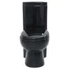 VidaXL Cuvette WC Céramique Noir Abattant WC Fermeture en Douceur Toilette 141134
