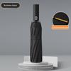 Popular Folding 24-Rib Fully Automatic Umbrella, 12-Rib Double-Rib Black Coating Dual-Use Umbrella for Sun and Rain, Promotional Umbrella