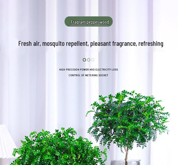 Hydroponic Fragrant Wood Plant: Indoor Insect & Mosquito Repellent, Evergreen, Year-Round Water-Cultured Green Plant for Desktops.
