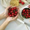 Decoration Mini Food Crafts Fruit Ornament Red Cherries Fruit Model Faux Cherry Artificial Cherries