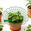 Strawberry Plant Support Stand, Plastic Strawberry Growing Rack with 3 Legs, Easy to Assemble, Strawberry Growing Frame for Keeping Fruit Elevated