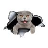 Scottish Fold Cat 3D Car Sticker, Waterproof Vinyl Material Accessories, Interesting For Cars, Trucks, Motorcycles, Walls