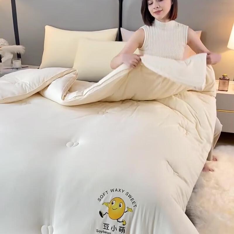 LISM Cloud-Feel Soy Fiber All-Season Duo Quilt