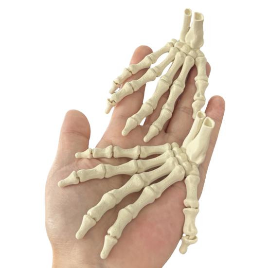 Halloween Skeleton Hand 3D Printed Plastic Human Hand Bone Model Scary Halloween Trick Props for Tableware Party Supplies Haunted House Home Decor
