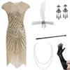 1920s Retro Sequin Flapper Dress with Tassels and Headdress Set