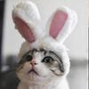 1pcs Plush Rabbit Ears Pet Headband, Rabbit Ears Hat for Cats Small Dogs Party Costume Accessory Headwear