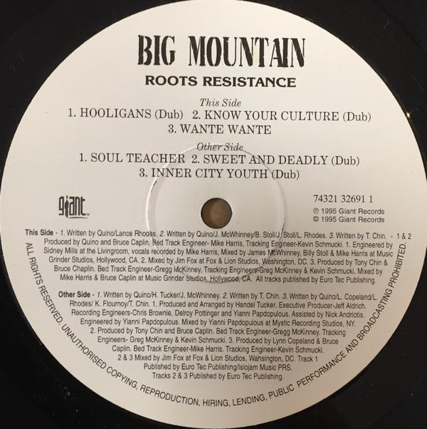 12inch Record BIG MOUNTAIN - Roots Resistance 7432132691 Giant Records 1995 US Reggae, Ska & Dub Used