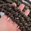 1- 4 packs Passion Twist Crochet Braiding Hair Pretwisted Curly Hair Passion Twists Synthetic Braiding Hair Extensions for Women