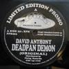 12-дюймовая пластинка DAVID ANTHONY - Deadpan Demon PPR003 Pump Production 1995 UK Dance & Electronica Б/У
