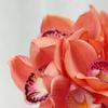 Moisturizing Cymbidium Bundle Home Interior Decoration Ornament Fake Flower Bonsai Feel Phalaenopsis
