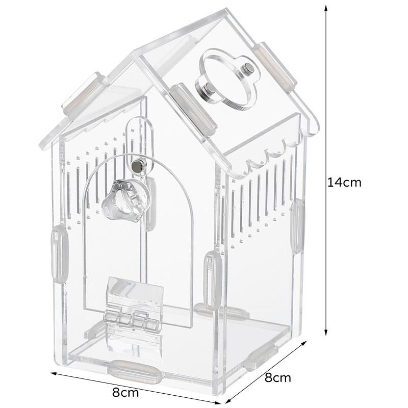 Acrylic Transparent Reptile Habitat Box Tarantulas Geckos Lizards Frogs Insects Terrarium Display Cage