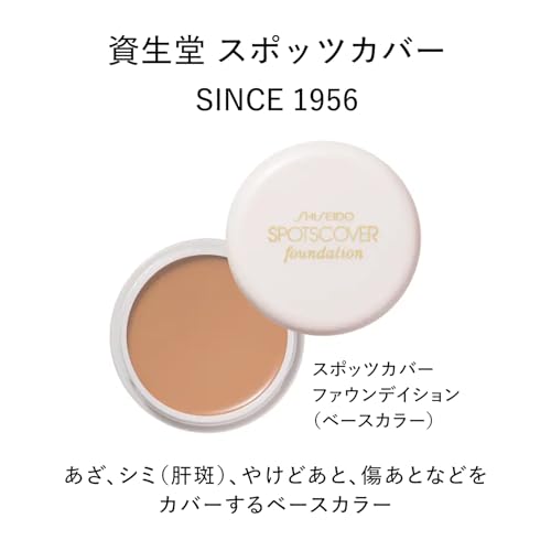 SHISEIDO Крем-корректор для пятен на лице (Базовый цвет) S300 20г