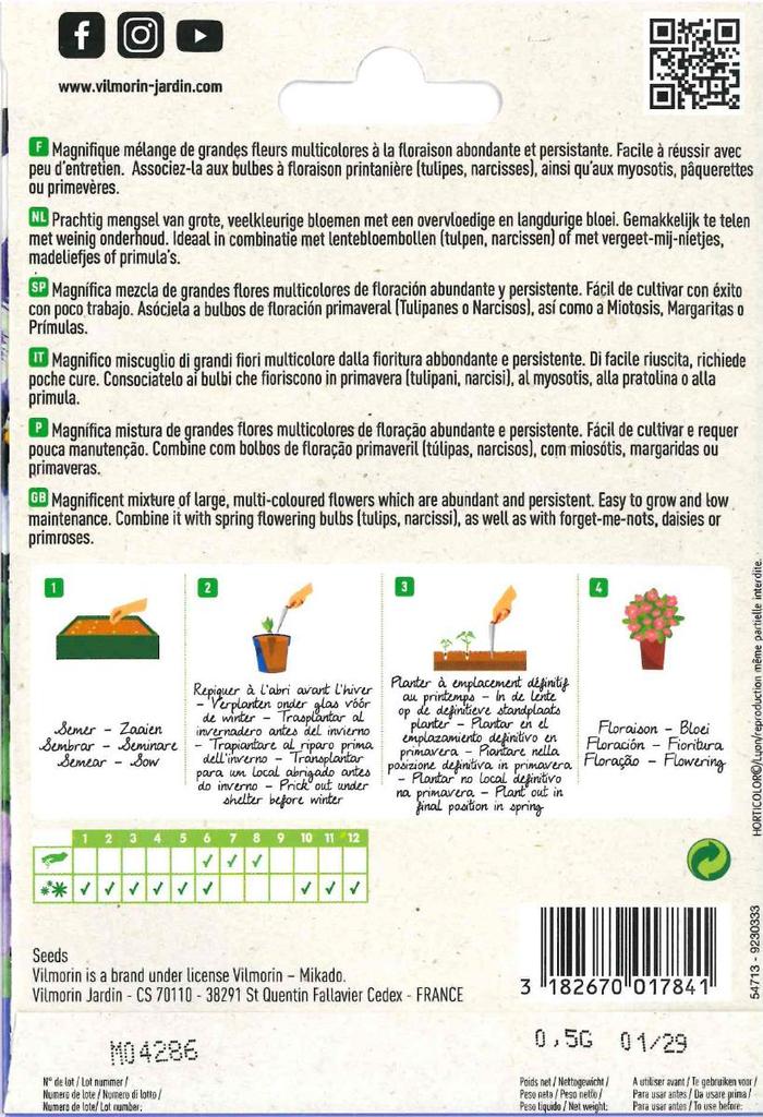 Семена мыслей