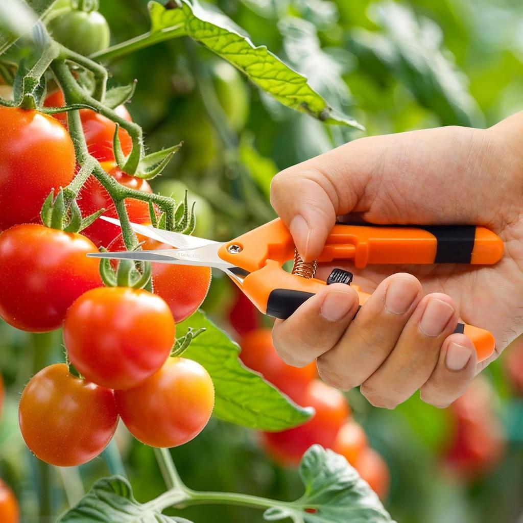 Секаторы, садовые ножницы для обрезки, садовые ручные секаторы, точные секаторы для бонсай с титановым покрытием, удобные цветочные ножницы