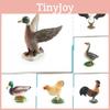 Фермерское животное Курица Утка Гусь ПВХ Модель Набор Для Обучения и Декора для Детей с Реалистичными Фигурками Птиц