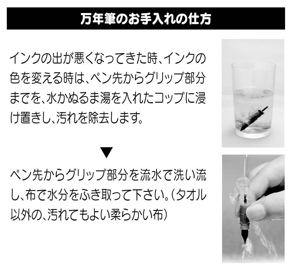 Перьевая ручка Platinum Plaisir с тонким пером, синяя, PGB-1000#56-2