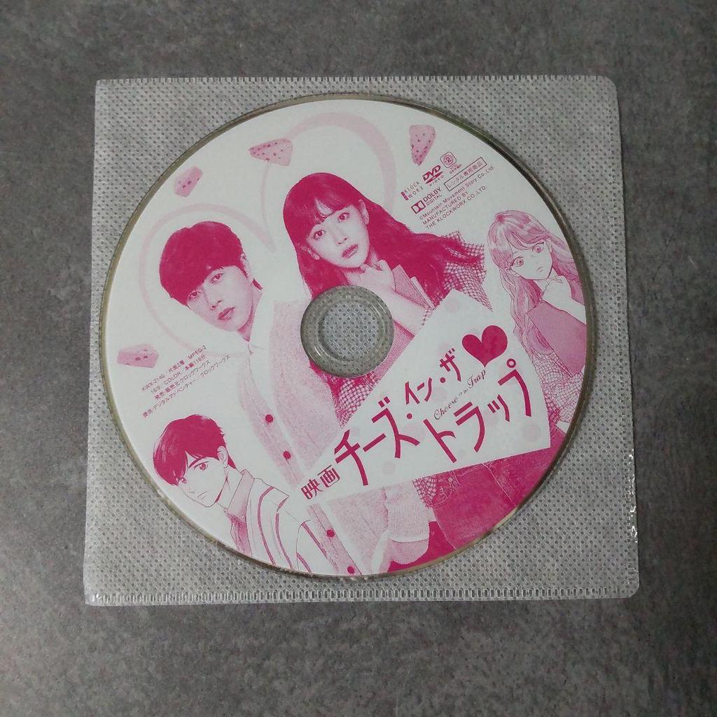 [USED] Korean Movie DVD "Cheese In the Trap" Park Hae-jin Rental